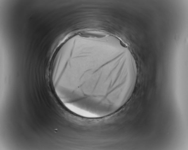 X0000083560002200703091626