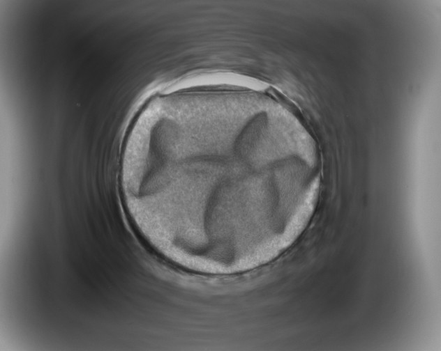 X0000083560003200703091626