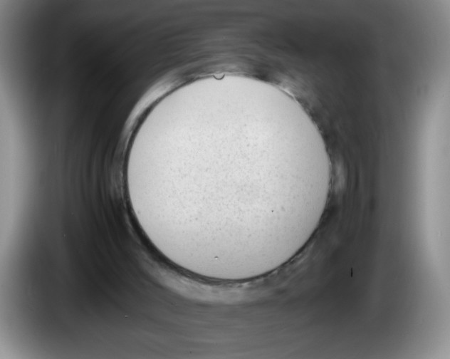 X0000083560004200703091626