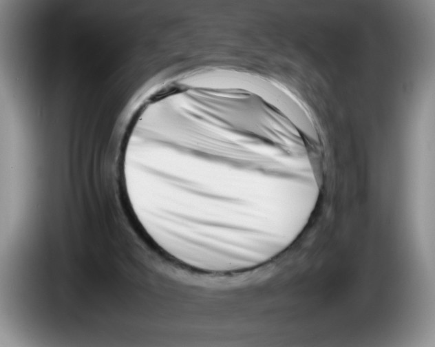 X0000083560007200703091626