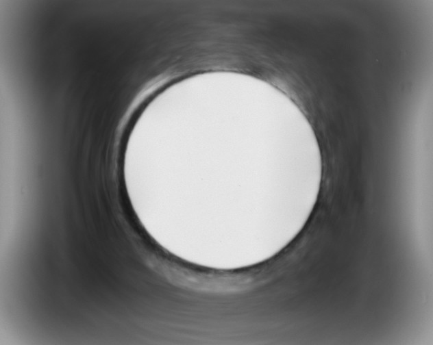 X0000083560008200703091626