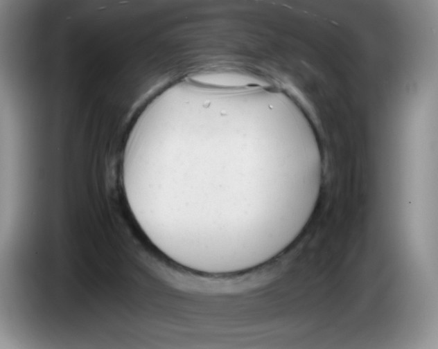 X0000083560010200703091626