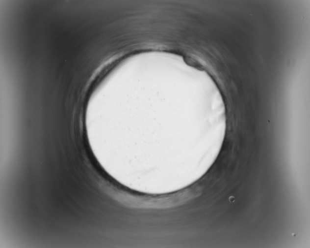 X0000083560011200703091626