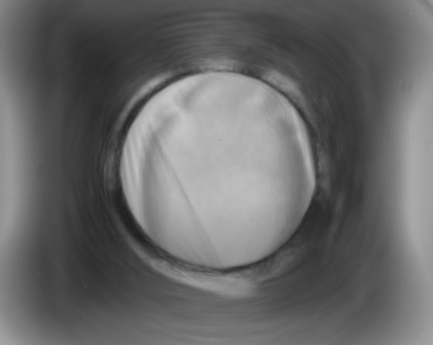 X0000083560012200703091626