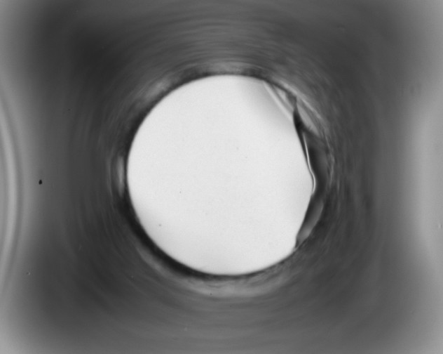 X0000083560013200703091626