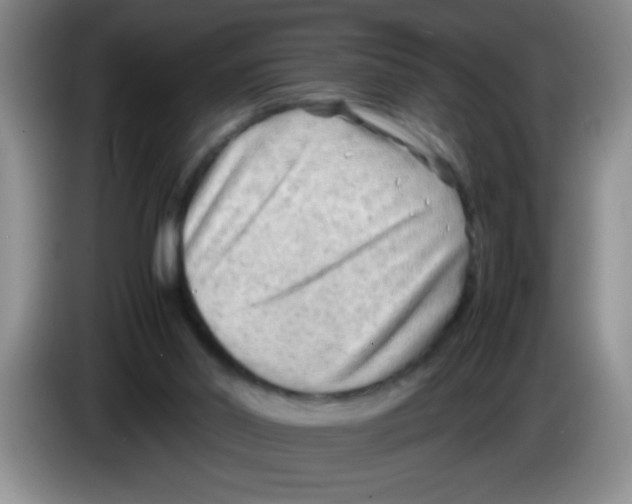 X0000083560014200703091626