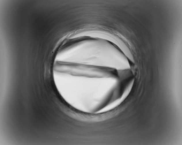 X0000083560015200703091626