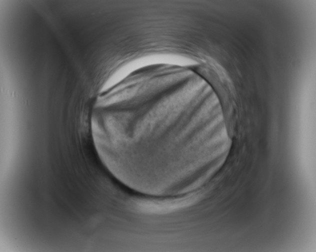 X0000083560017200703091626