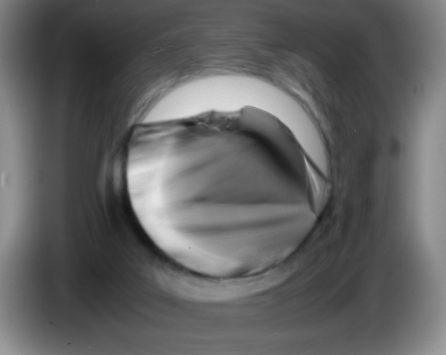 X0000083560019200703091626