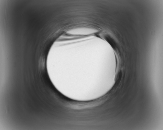 X0000083560021200703091626