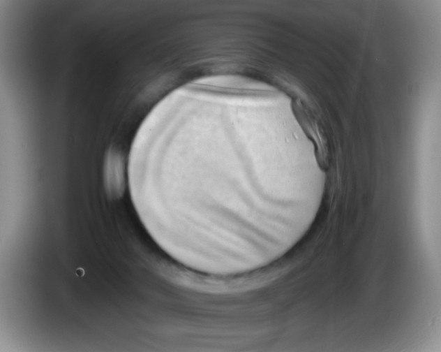 X0000083560022200703091626