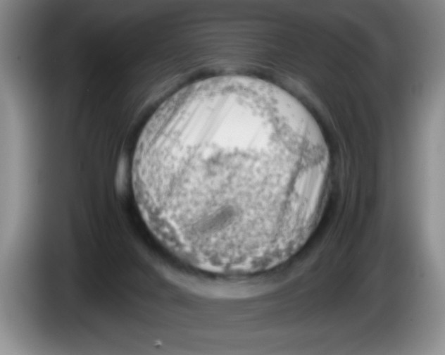 X0000083560024200703091626