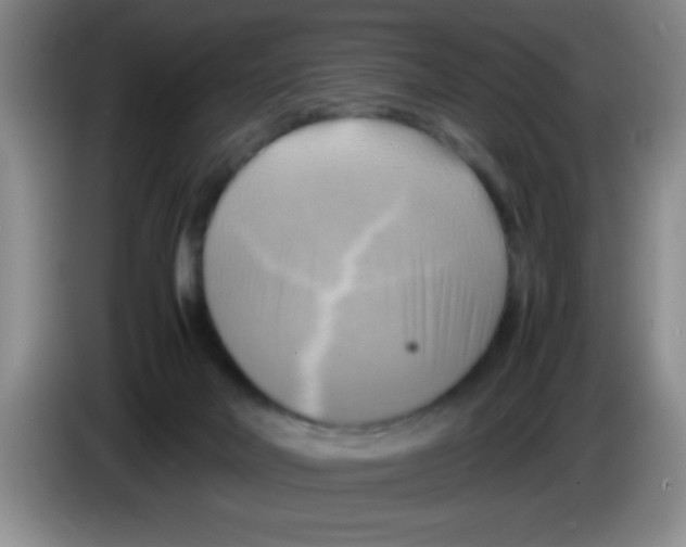 X0000083560026200703091626