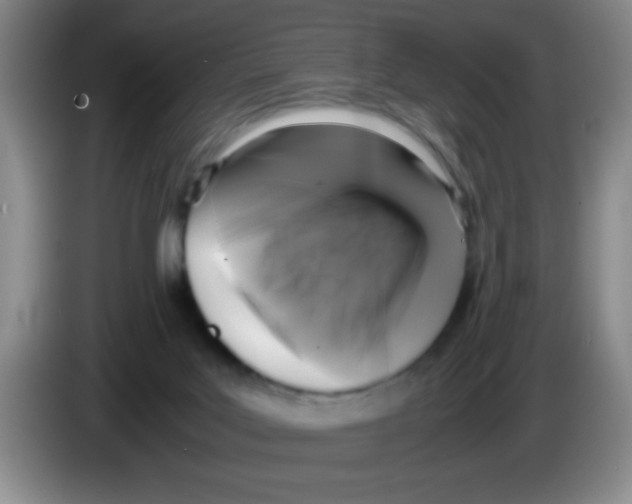 X0000083560027200703091626