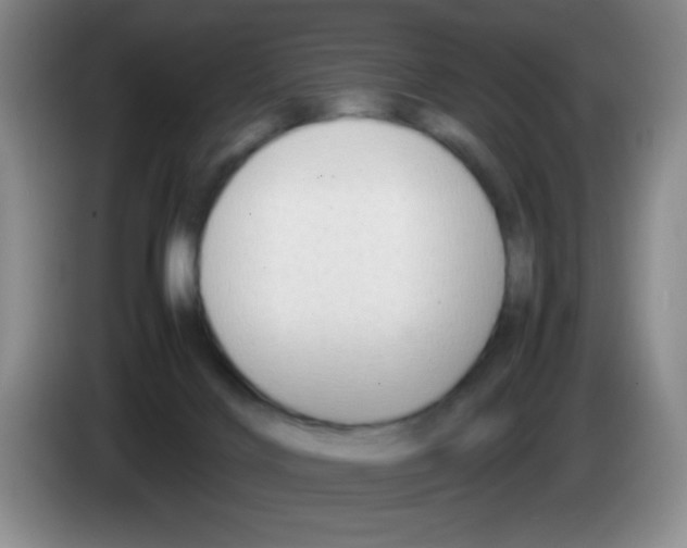 X0000083560028200703091626