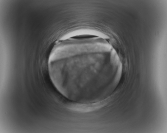 X0000083560029200703091626