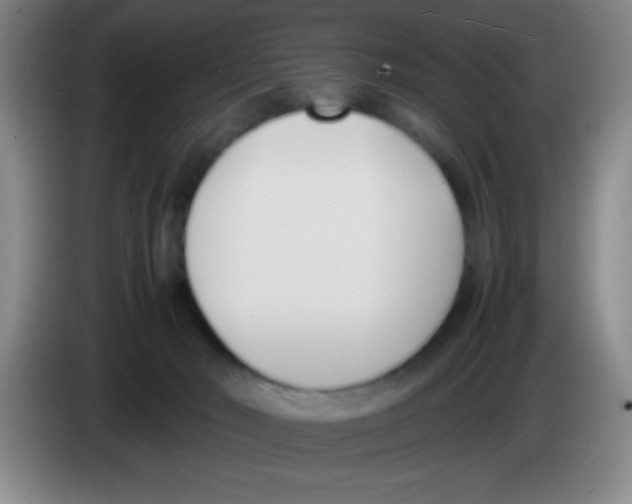 X0000083560030200703091626