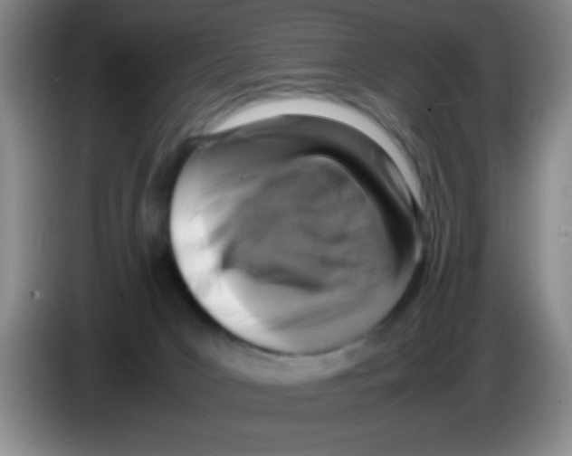 X0000083560031200703091626