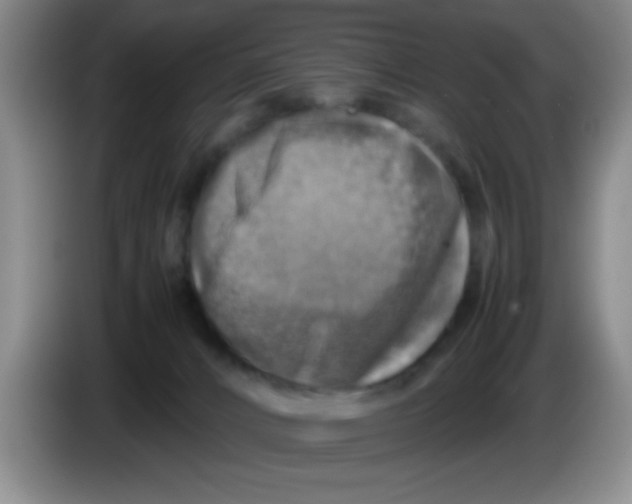 X0000083560032200703091626