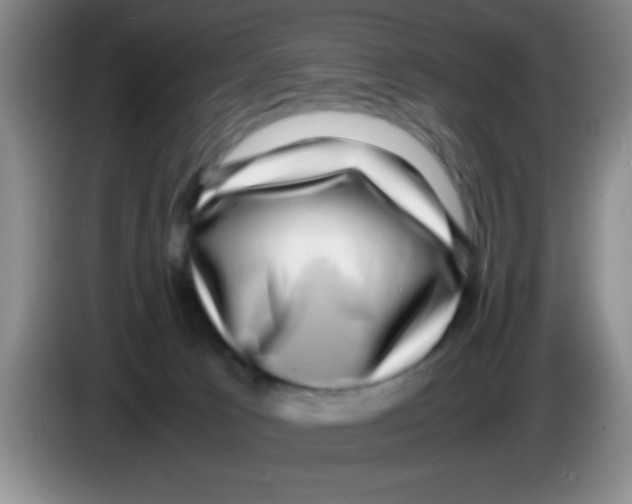 X0000083560033200703091626