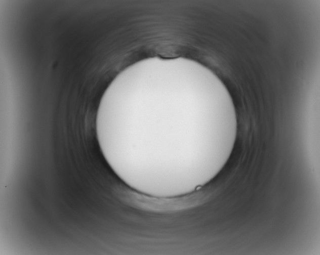 X0000083560034200703091626