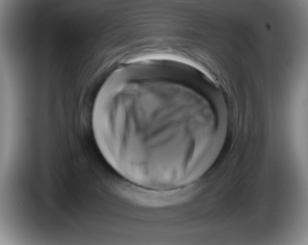 X0000083560035200703091626