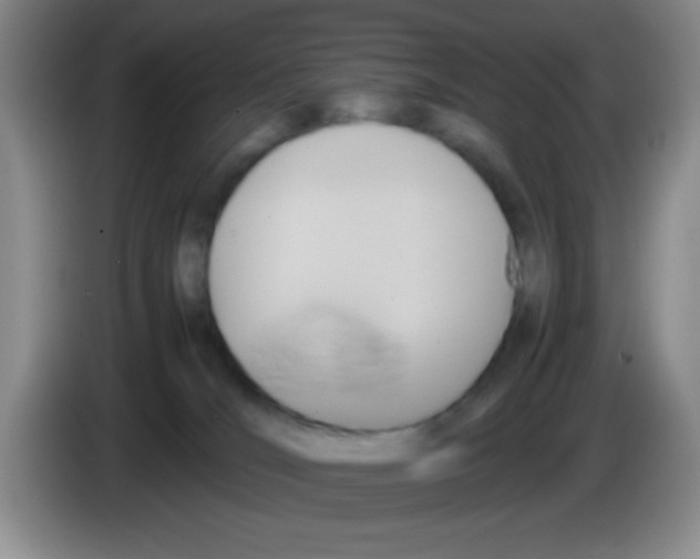 X0000083560036200703091626