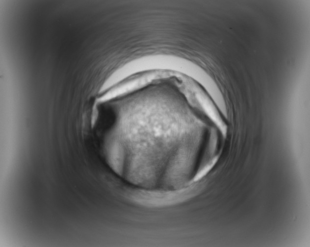 X0000083560037200703091626