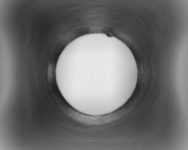 X0000083560038200703091626