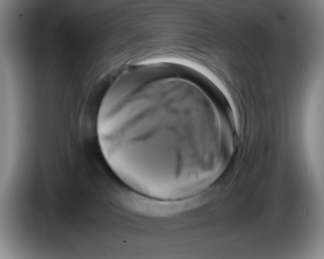 X0000083560039200703091626