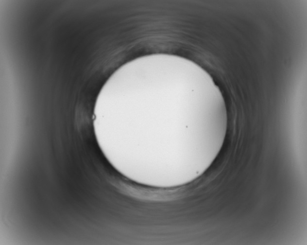 X0000083560040200703091626