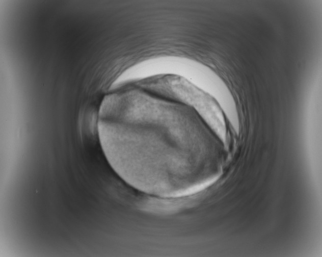 X0000083560041200703091626