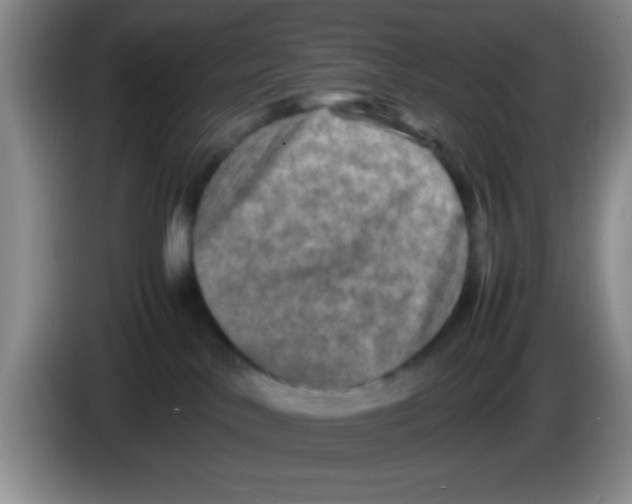 X0000083560042200703091626