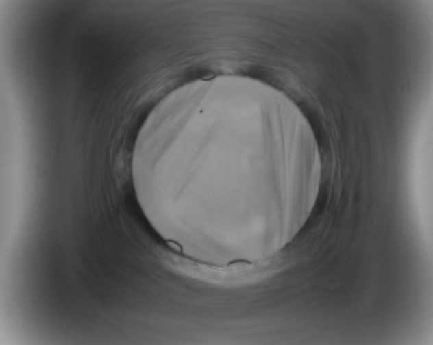 X0000083560043200703091626