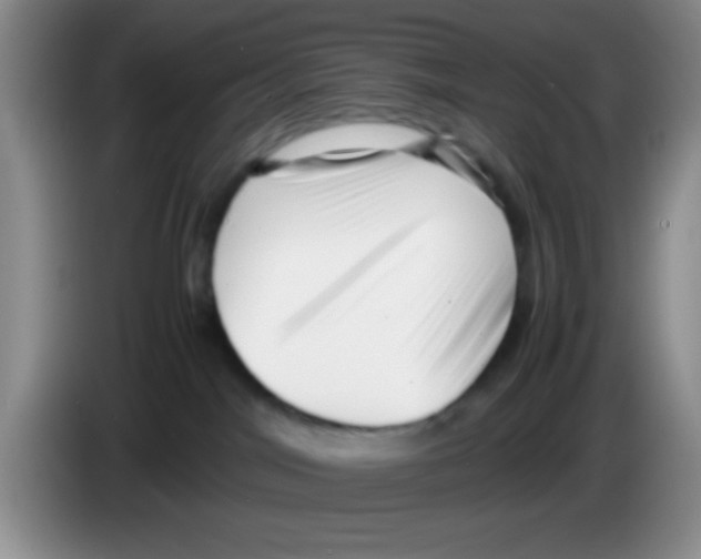 X0000083560044200703091626