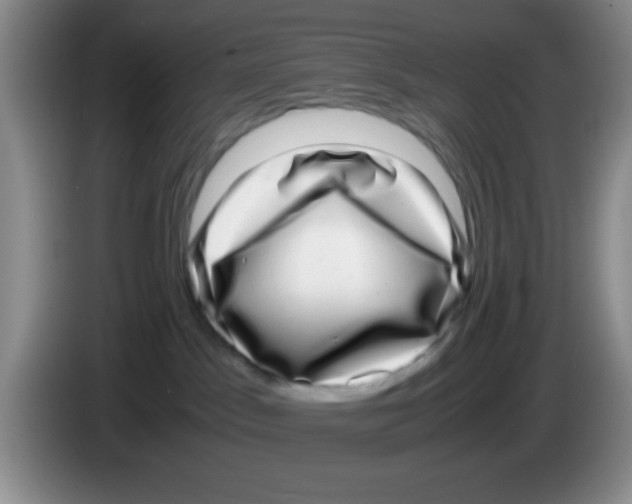 X0000083560045200703091626