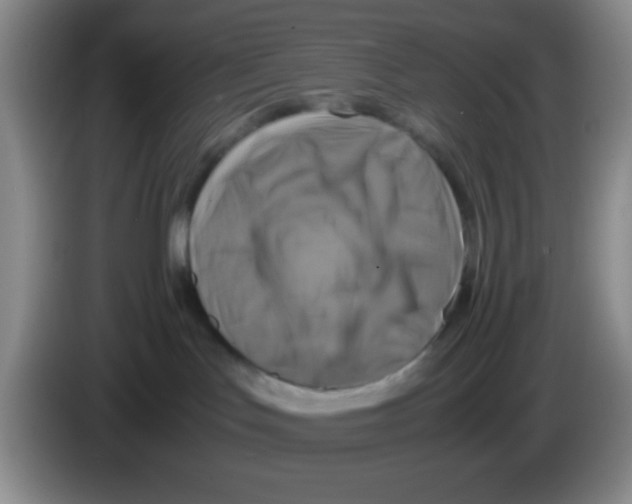 X0000083560047200703091626