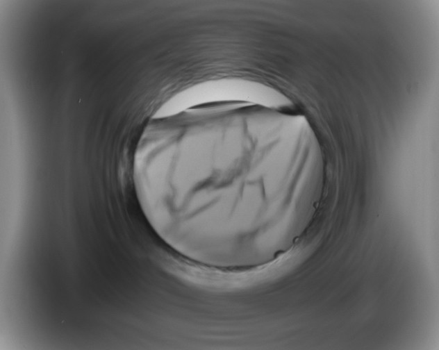 X0000083560048200703091626