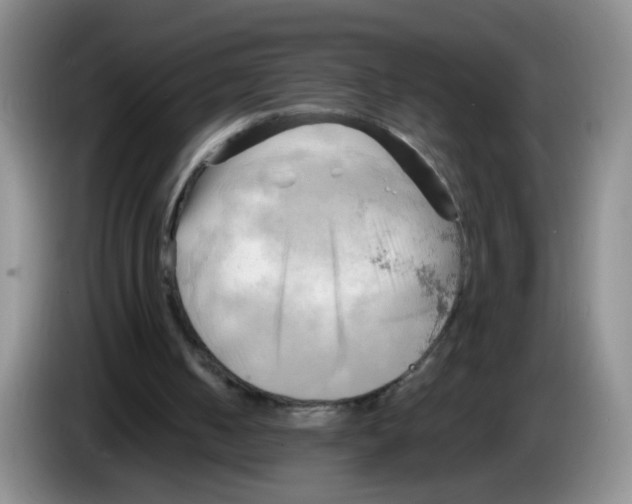 X0000083560050200703091625