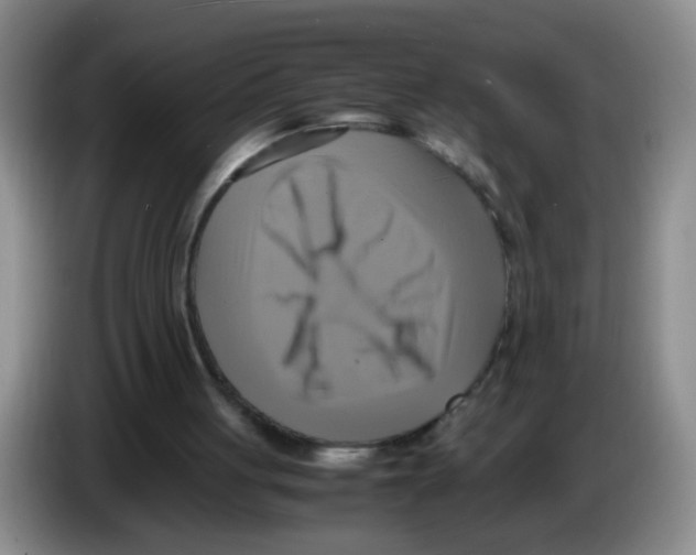 X0000083560051200703091625