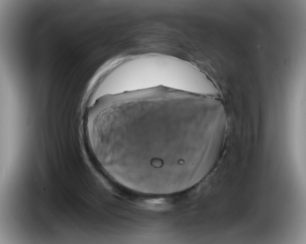 X0000083560054200703091625