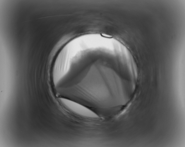 X0000083560055200703091625