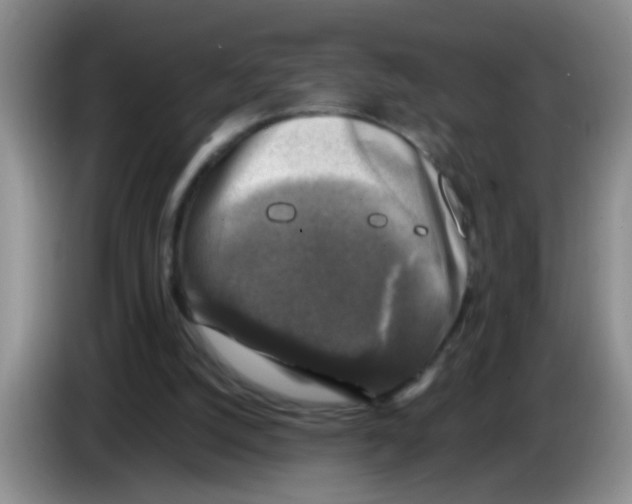 X0000083560056200703091625