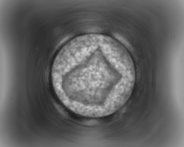 X0000083560058200703091625