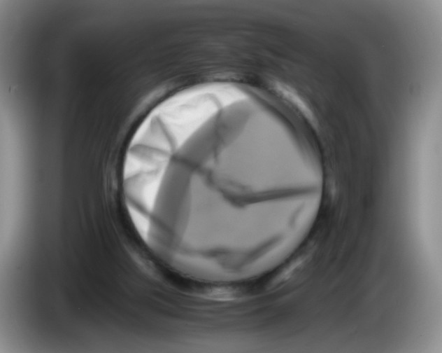 X0000083560059200703091625