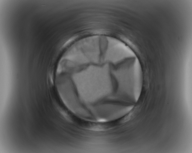 X0000083560062200703091625