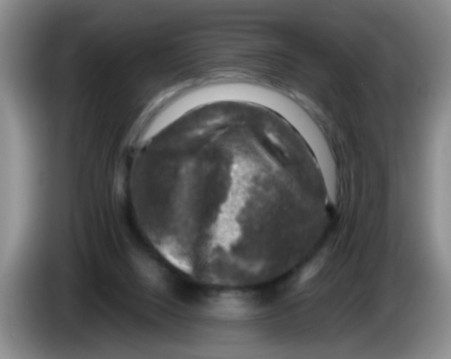 X0000083560064200703091625