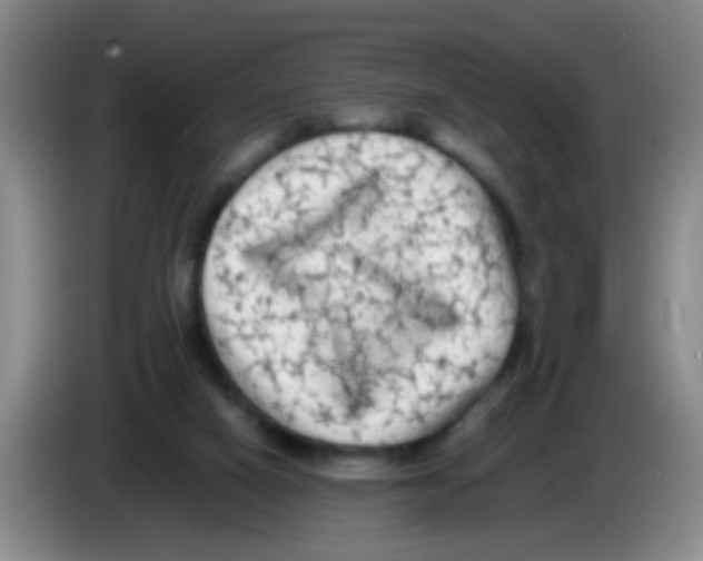 X0000083560066200703091625