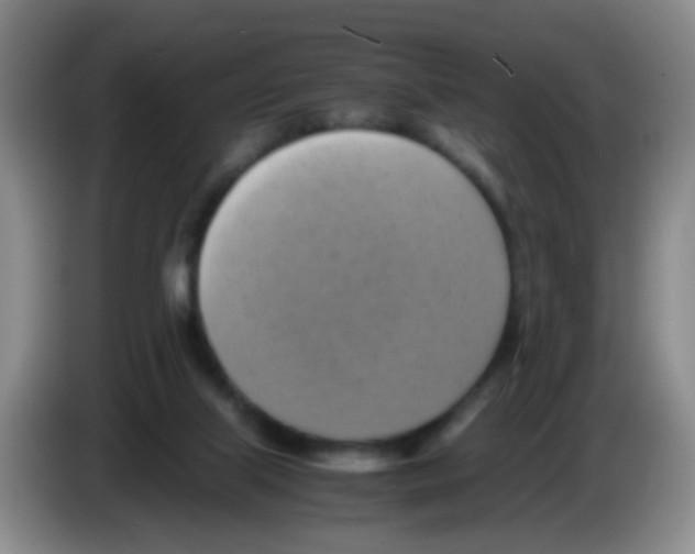 X0000083560067200703091625