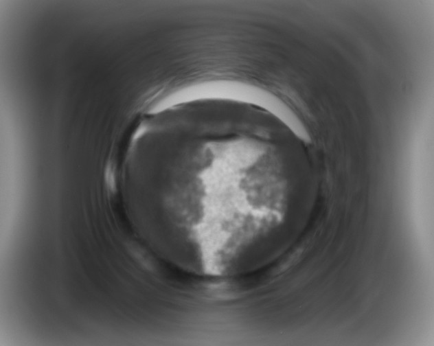 X0000083560068200703091625